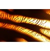 Lampe Bois Fire lumière décorative luminaire d'ambiance