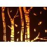 Lampe Bois La Forêt lumière d'ambiance luminaire décoratif