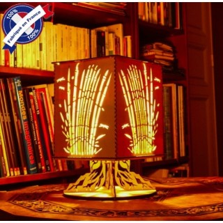 Lampe le Marais sur pied
